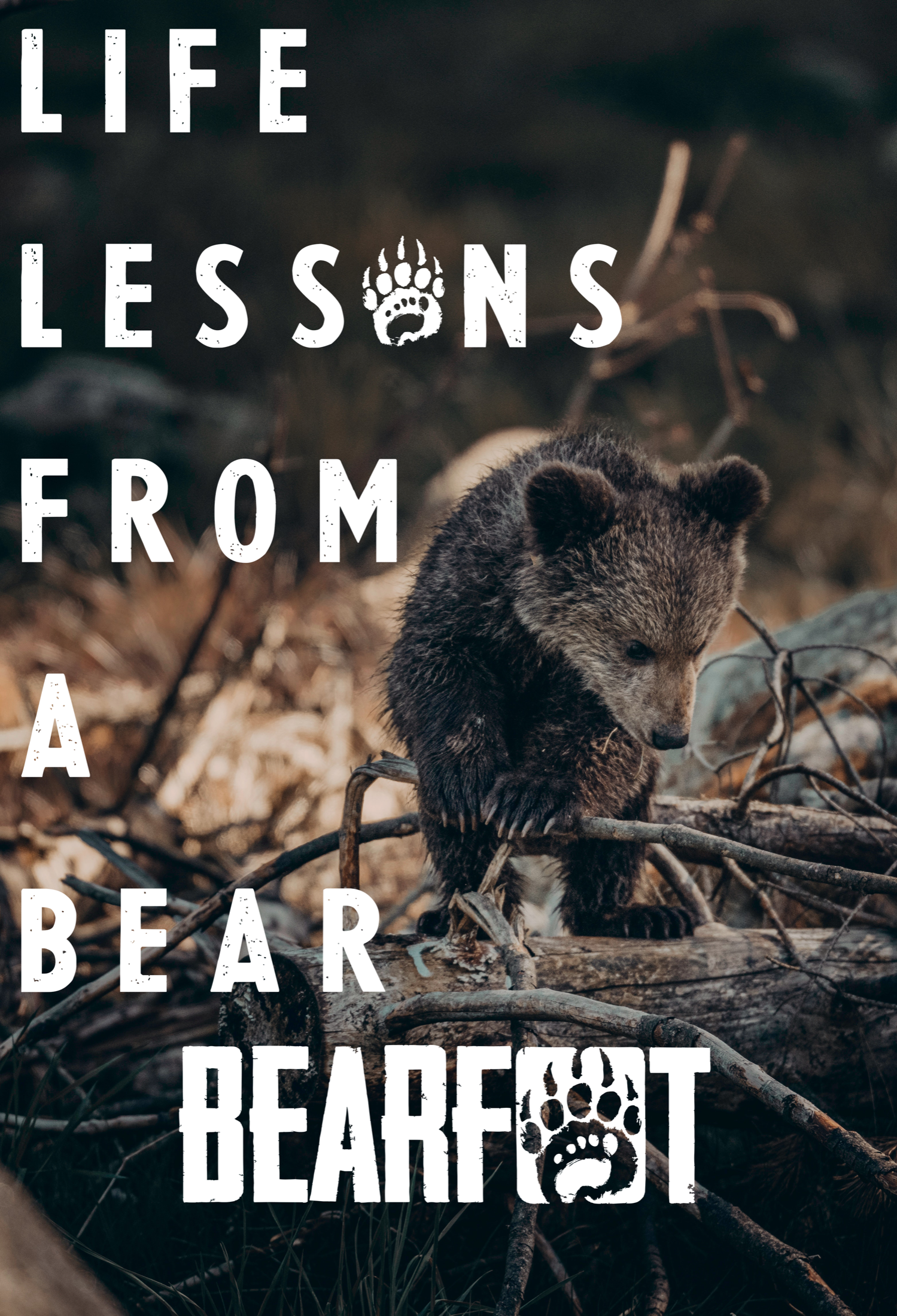 Life Lessons from a Bear social graphic featuring a bear cub