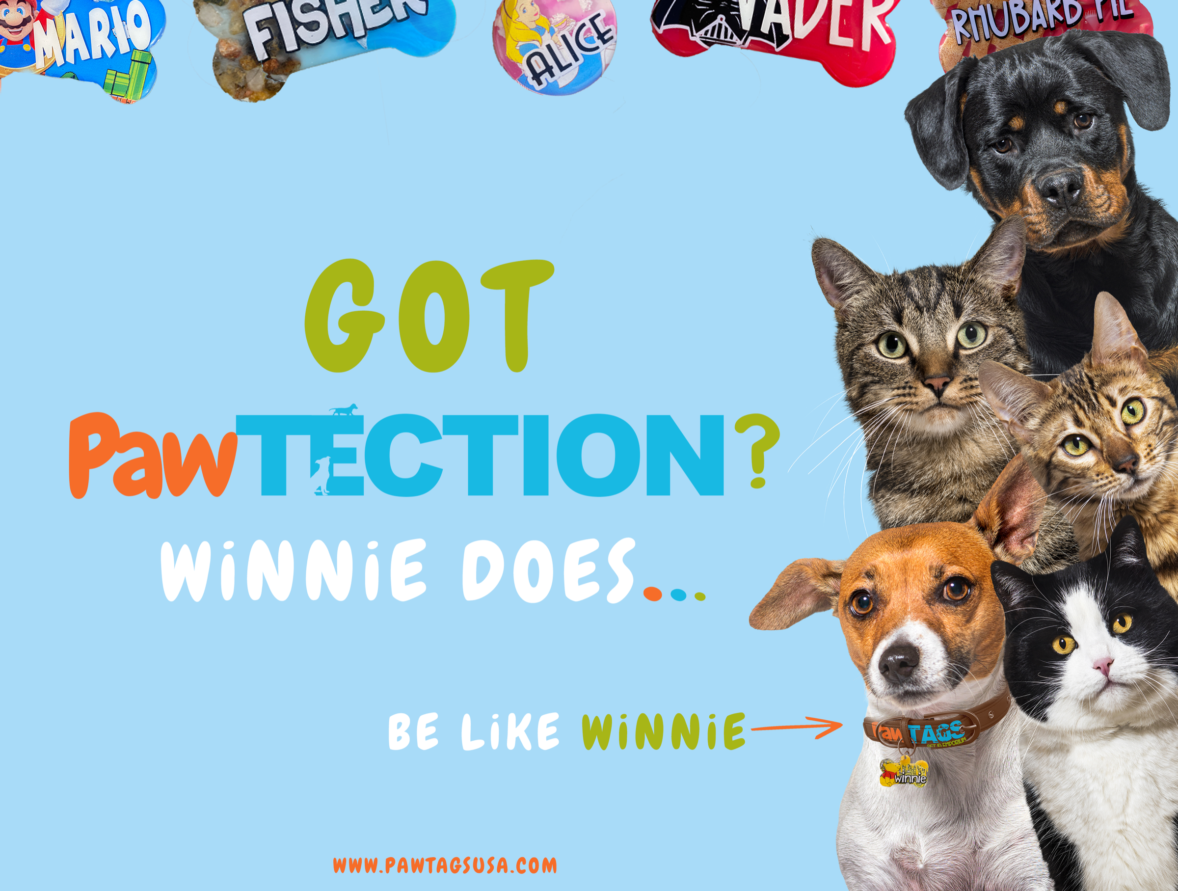 Got Pawtection insurance promotion featuring dogs and cats